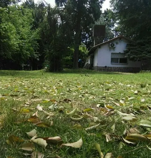 Espacios verdes del predio para actividades al aire libre